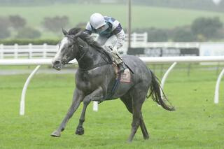 The Soultaker (NZ) dug deep to get up and win Saturday’s $70,000 Group 3 Manuka Doctor Bonecrusher Stakes. Photo Credit: Trish Dunell.